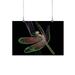 Dragonfly On Leaf Neon Light Poster - Image by Shutterstock