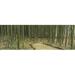 Panoramic Images PPI83147L Bamboo trees on both sides of a path Kyoto Japan Poster Print by Panoramic Images - 36 x 12