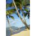 USA Hawaii Islands Kauai Hammock tied between palm trees on sandy beach; Hanalei Bay Princeville Poster Print (24 x 38)