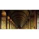 Posterazzi Thomas Burgh Library Trinity College Dublin Ireland Poster Print by The Irish Image Collection - 44 x 22 - Large