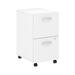 Scranton & Co Furniture 2 Drawer Mobile File Cabinet in White