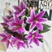 Artificial Flowers Tiger Lily Real Touch Fake Flowers for Wedding Home Party Garden Shop Office Decoration Plastic Lily 10 Bouquets Faux Flowers. (B)