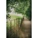 Shady path lined with trees and a fence along a field; Kirby Lonsdale Lake District Cumbria England by Hilary Jane Morgan / Design Pics (11 x 17)