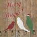 Merry and Bright Poster Print by Tava Studios (24 x 24)