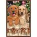 Keith Kimberlin - Puppies - Labs Wall Poster 14.725 x 22.375 Framed