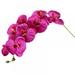 28 Inch Artificial Phalaenopsis Flowers Branches Real Touch (Not Silk) Orchids Flowers for Home Office Wedding Decoration