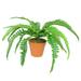 Northlight 15.75 Potted Artificial Long Green Boston Fern Plant