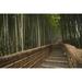 Stone Pathway in Bamboo Forest - Arashiyama Kyoto Japan Poster Print - 38 x 24 in. - Large