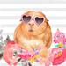 GUINEA PIG WITH GLASSES Poster Print by Atelier B Art Studio