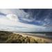 Grass blowing in the wind and sand along the water s edge; Bamburgh Northumberland England Poster Print (19 x 12)