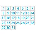 Calendar Date Magnets by DCM Solutions (Cyan Inverted 0.5 x0.5 )