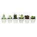 Vickerman 4 Artificial Assorted Potted Succulents Set of 6.