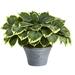 Nearly Natural 23in. Variegated Hosta Artificial Plant in Gray Planter