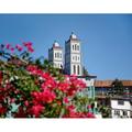 Flowers with church in the background St. Vincent Ferrer Church Baguio City Luzon Philippines Poster Print by Panoramic Images (28 x 22)