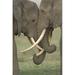 Two African elephants fighting in a field Ngorongoro Crater Arusha Region Tanzania - Loxodonta africana Poster Print by - 16 x 24