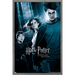 Harry Potter and the Prisoner of Azkaban - Forest One Sheet Wall Poster 22.375 x 34 Framed