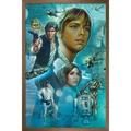 Star Wars: A New Hope - Celebration Mural Wall Poster 22.375 x 34 Framed