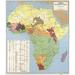 Ethnolinguisitic Map of Africa by Vintage Maps (24 x 27)