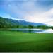 Golf course with mountain range in the background Teton Pines Golf Course Jackson Wyoming USA Poster Print (12 x 12)