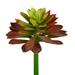 Vickerman 10 Artificial Red and Green Succulent Stem Pack of 2