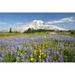 Wildflowers In Paradise Park with Mount Rainier In the Background - Mount Rainier National Park Washington USA Poster Print 19 x 12