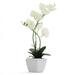 Bornbridge Artificial Orchid - Fake Orchid Plant with Real Touch Flowers - Faux Orchid with Long Stem Artificial Flowers - Potted Orchid/Plastic Orchid Fake Flowers - (Medium White Orchid)