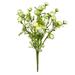 Vickerman 18 Artificial Light Green Ranunculus Bush.