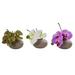 Nearly Natural 7 Phalaenopsis Orchid Artificial Flower Arrangement Set of 3 Multicolor