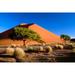 Trees with Sossosvlei Dunes Namib-Naukluff Park Namibia Poster Print by Art Wolfe (35 x 24)