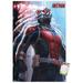 Marvel Cinematic Universe - Ant-Man - Lang Wall Poster 14.725 x 22.375