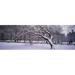 Trees covered with snow in a park Central Park New York City New York state USA Poster Print (18 x 6)