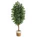 8 Artificial Ficus Artificial Trees in Wood Cotton Jute Planter by Nearly Natural