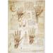 Leonardo: Hands C1510. /Npen And Ink Studies By Leonardo Da Vinci C1510-11 Of The Human Hand. Poster Print by (24 x 36)