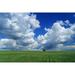 Abandoned Farm In Wheat Field With Cumulonimbus Clouds In The Sky Near Kisbey Saskatchewan Poster Print (17 x 11)