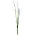 Vickerman Everyday 31 Indoor Artificial Green Horsetail Bundle - Realistic Looking Colorful Foliage of Durable Plastic - Maintenance Free - 2 per pack