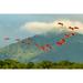 Caribbean-Trinidad-Caroni Swamp Scarlet ibis birds in flight by Jaynes Gallery (24 x 18)