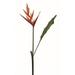 Heliconia-Bird of Paradise Garden Stem Artificial Flower