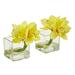 Nearly Natural Cymbidium Orchid Artificial Arrangement in Glass Vase (Set of 2)