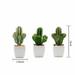 BalsaCircle 3 Pieces 5 Green Artificial Faux Succulent Cactus Plants Off White Pots