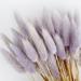 Hamlinson 50pcs Natural Dried Flowers Rabbit Tail Grass Flowers Artificial Plant Bouquet Pampas Grass DIY Crafts for Home Holiday Party Wedding Decor