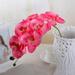 28 Inch Artificial Phalaenopsis Flowers Branches Real Touch (Not Silk) Orchids Flowers for Home Office Wedding Decoration