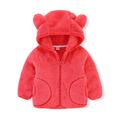 Dezsed Kids Winter Coat 1-6Y Girls Boys Solid Color Long Sleeve Flannel Fleece Jackets Sweatshirt Hooded Coats With Zipper Casual Outerwear On Clearance