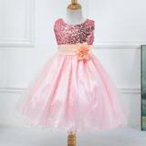 [BRAND CLEARANCE!!!] 3-10T Girl Sleeveless Sequins Formal Dress Princess Pageant Dresses Kids Prom Ball Gown for Wedding Party (Pink)