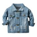 TAIAOJING Kids Toddler Jacket Baby Girls Rose Embroidery Warm Winter Denim Coat Fall Outfits 18-24 Months