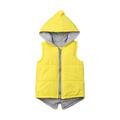 Kids Hoodies Vest Dinosaur Jacket Coat Cotton Padded Waistcoat Solid Sleeveless Zipper Hooded Outwear Vest Tops