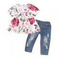 Baby Girl Floral Short Sleeve Shirt Top Denim Jeans Pants Casual Outfit Spring Summer 2PCS Cute Ruffle Outfits Ripped Jeans for Girls 1-3T Kids