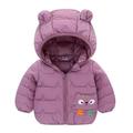 Baby Boys Girls Down Parkas Coat Winter Warm Cotton Coat Kids Outwear Hoodie Jacket Toddler Hooded Coat Long Sleeve Zipper Solid Warm Outfits 1-6T