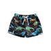 Sunisery Toddler Baby Boys Cartoon Printed Short Pants Vacation Style Elastic Shorts Dinosaurs Print 1-2 Years