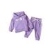 Izhansean Newborn Baby Girl Clothes Mini Hoodie Sweatshirt T-Shirt Pullover+Pants Fall Winter Outfits Purple 6-12 Months