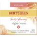 Burt s Bees Truly Glowing Night Cream for Dry Skin 1.8 Fluid Ounces